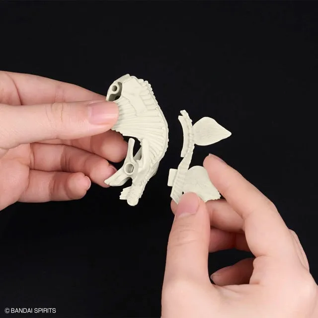 Bandai Plannosaurus Stegosaurus (Plastic Model)