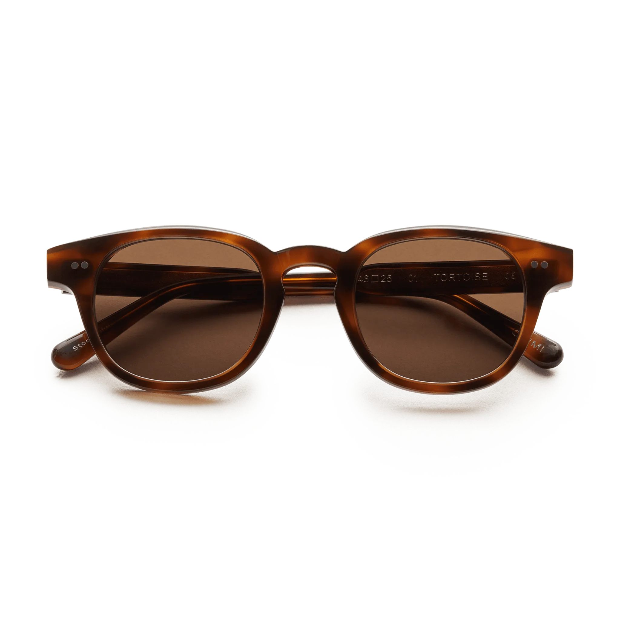 Chimi 01 tortoise