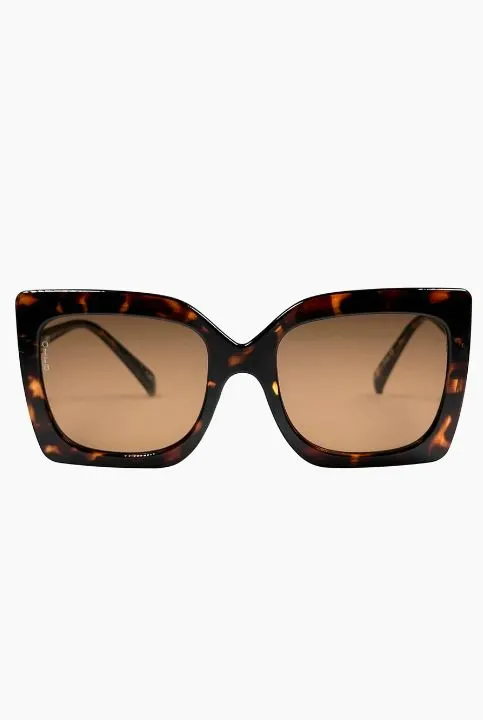 Dynasty Sunglasses