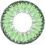 Eos Fay Green Lenses - Circle Lenses