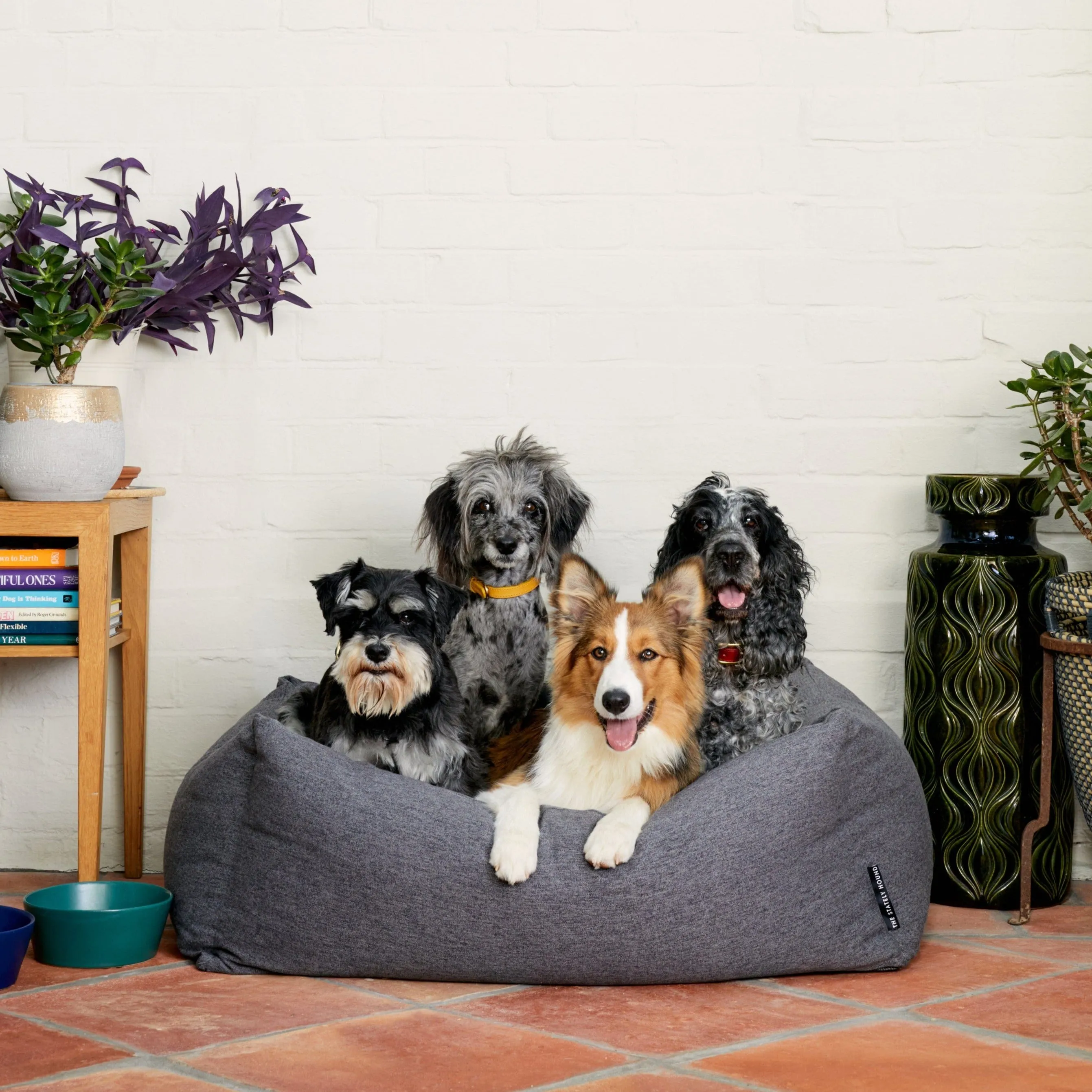 Grey Nest Dog Bed | Ultimate Comfort & Modern Elegance