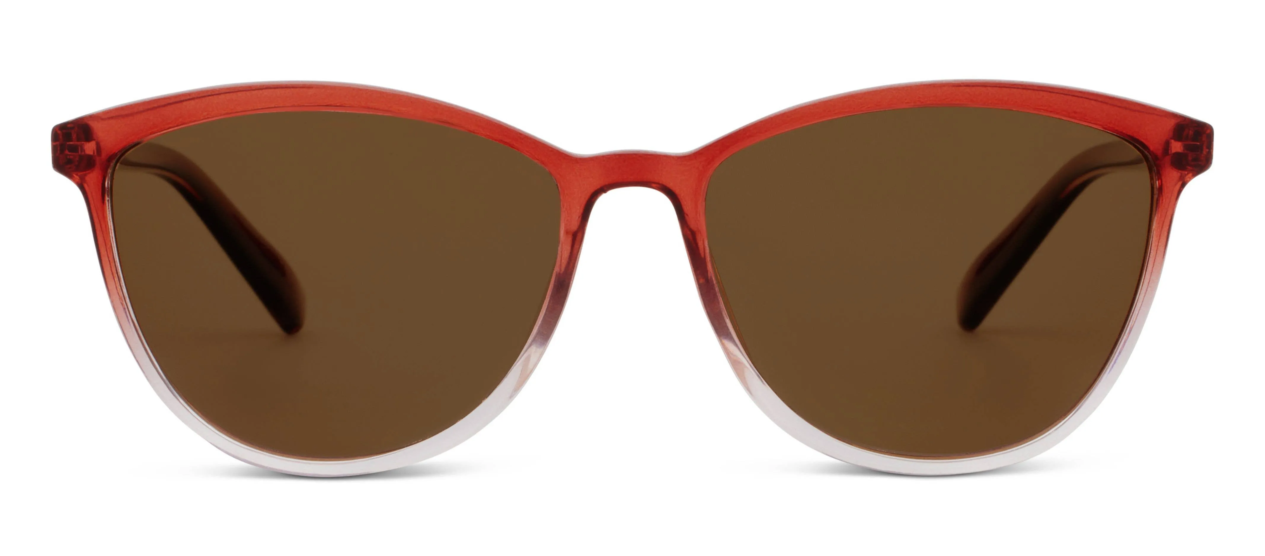 Havana (Sunglasses)