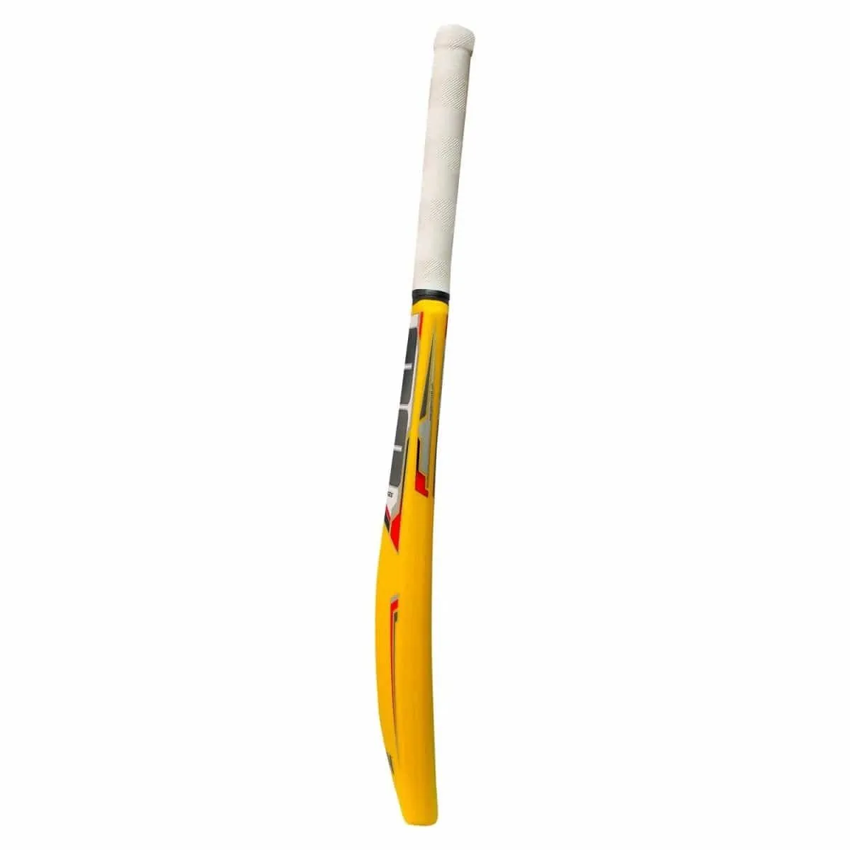 SS Plastic Cricket Bat