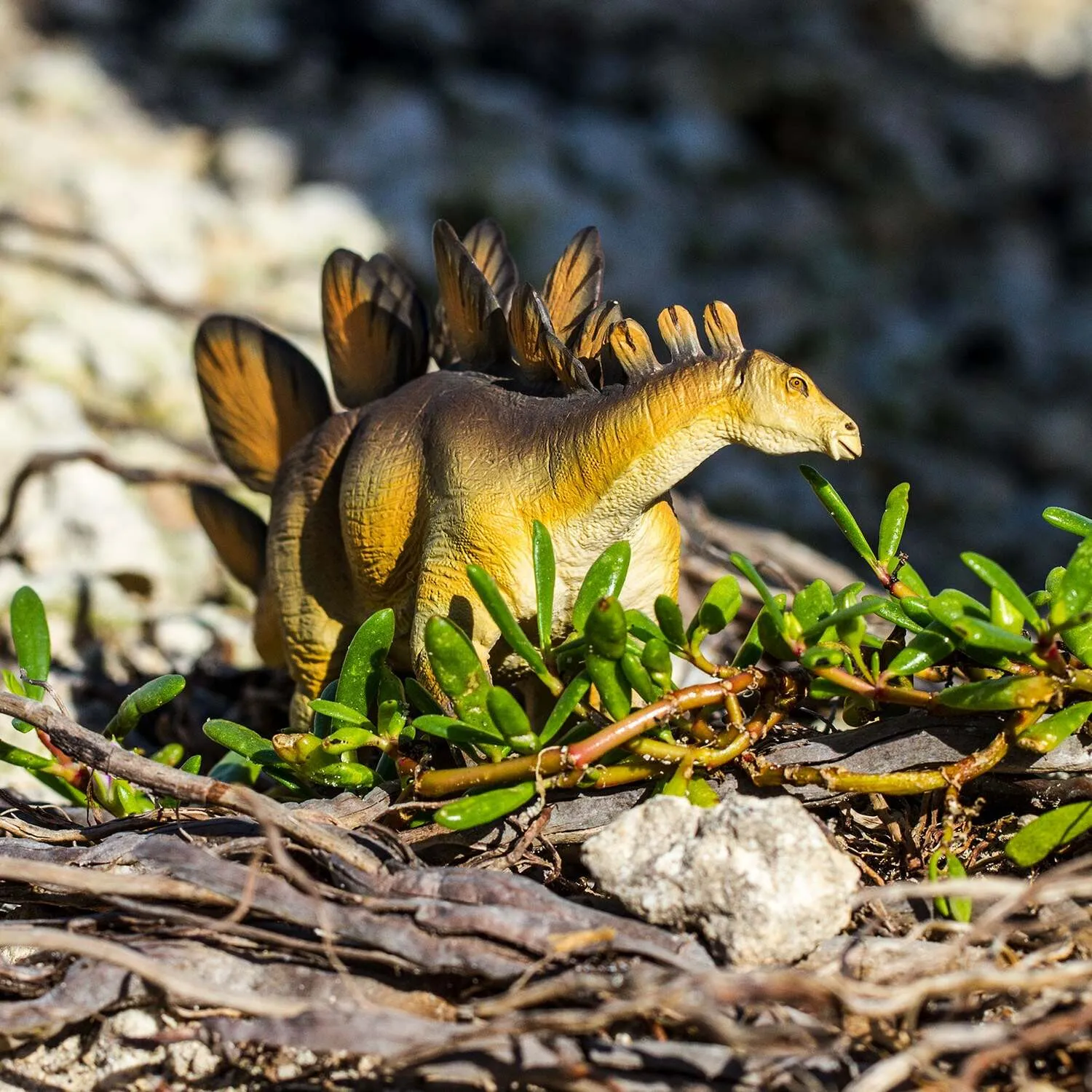 Stegosaurus Figurine