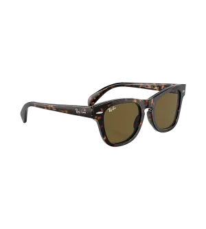 Sunglasses Brown