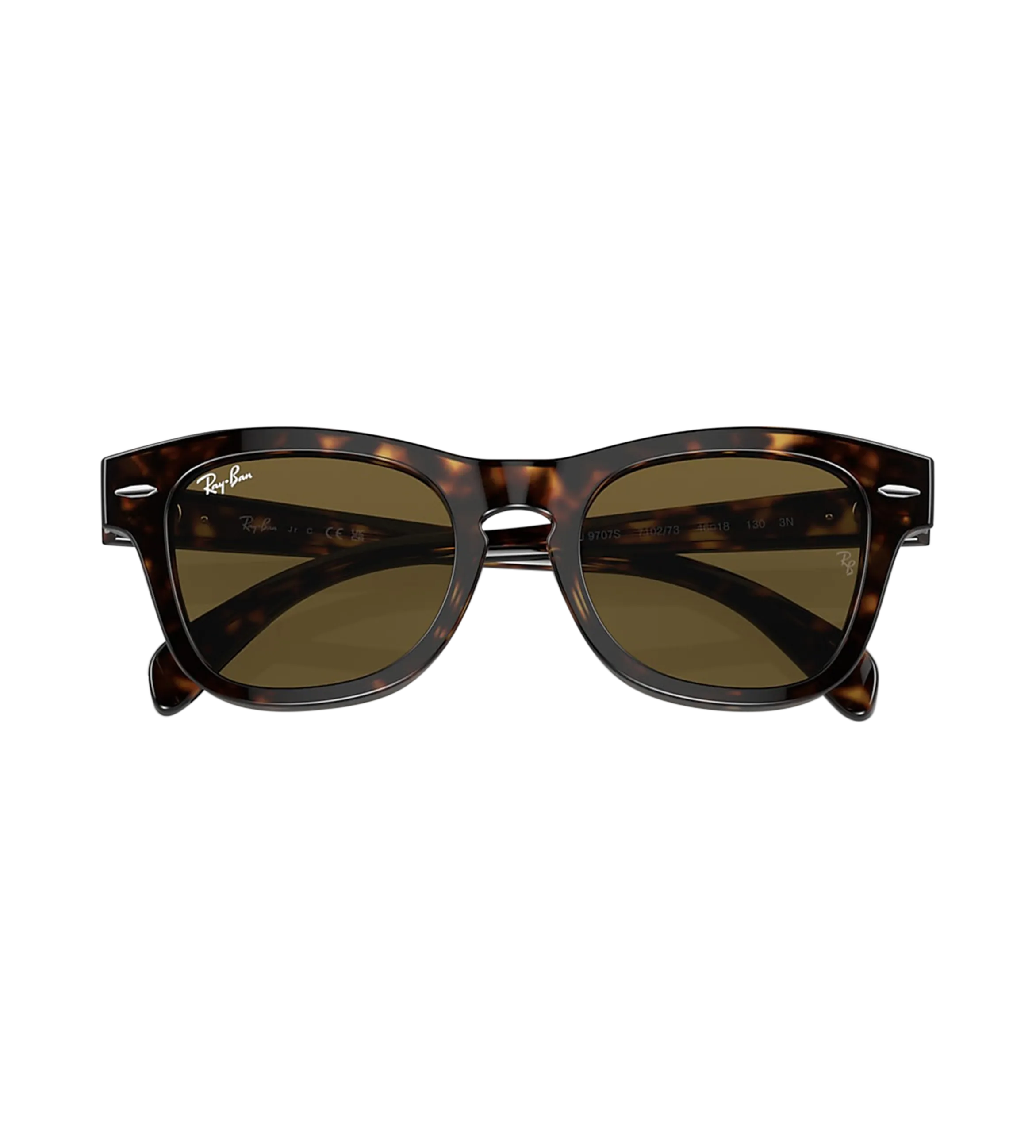 Sunglasses Brown