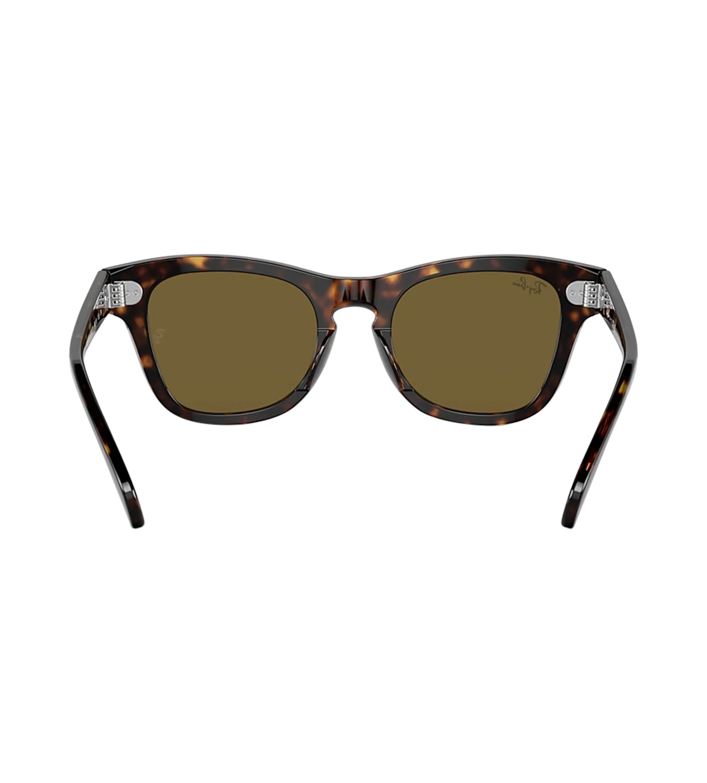 Sunglasses Brown
